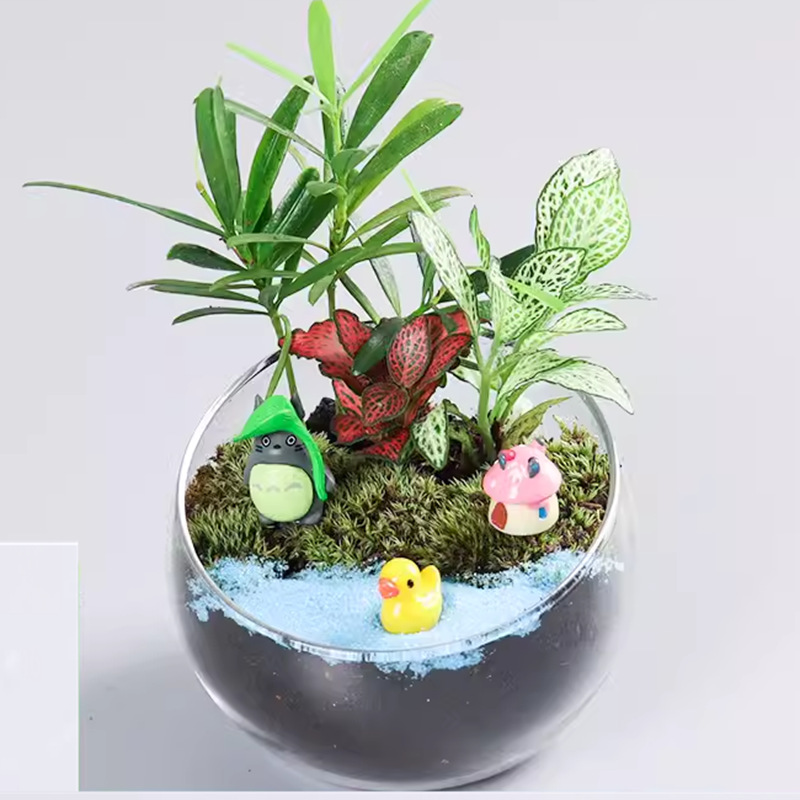 Moss Succulent Micro Landscape DIY Material Package Incision Glass Ball Ecological Bottle Ornament Gift Set Micro