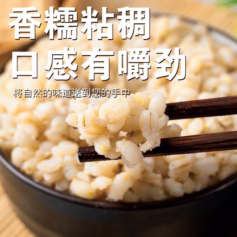 Barley Kernels Vacuum Packed 500g Whole Grains Low-Fat Whole Grain Meal Replacement Satiety Wholesale Dropshipping Oem Processing