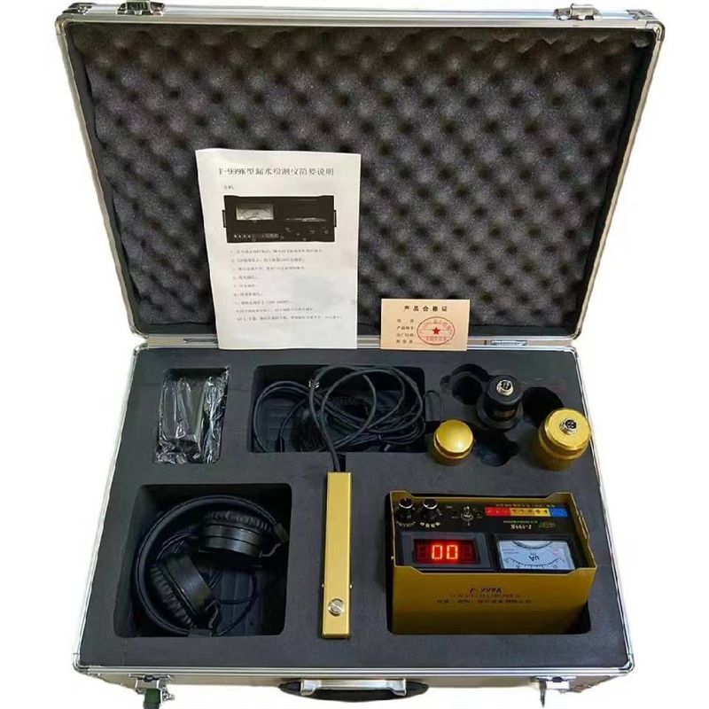 Rhubarb F999M/999E/999L/999K concealed pipe water leakage detection cold and hot pipe water leakage point locator