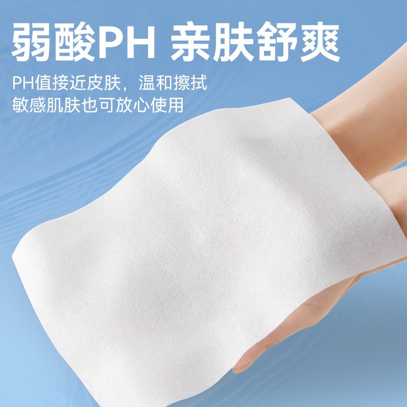 Large Pack of Flushable Wet Toilet Paper for Home Use, Wet Wipes for Toilet, Butt Wipes, Flushable Wet Wipes Formula for Home Use