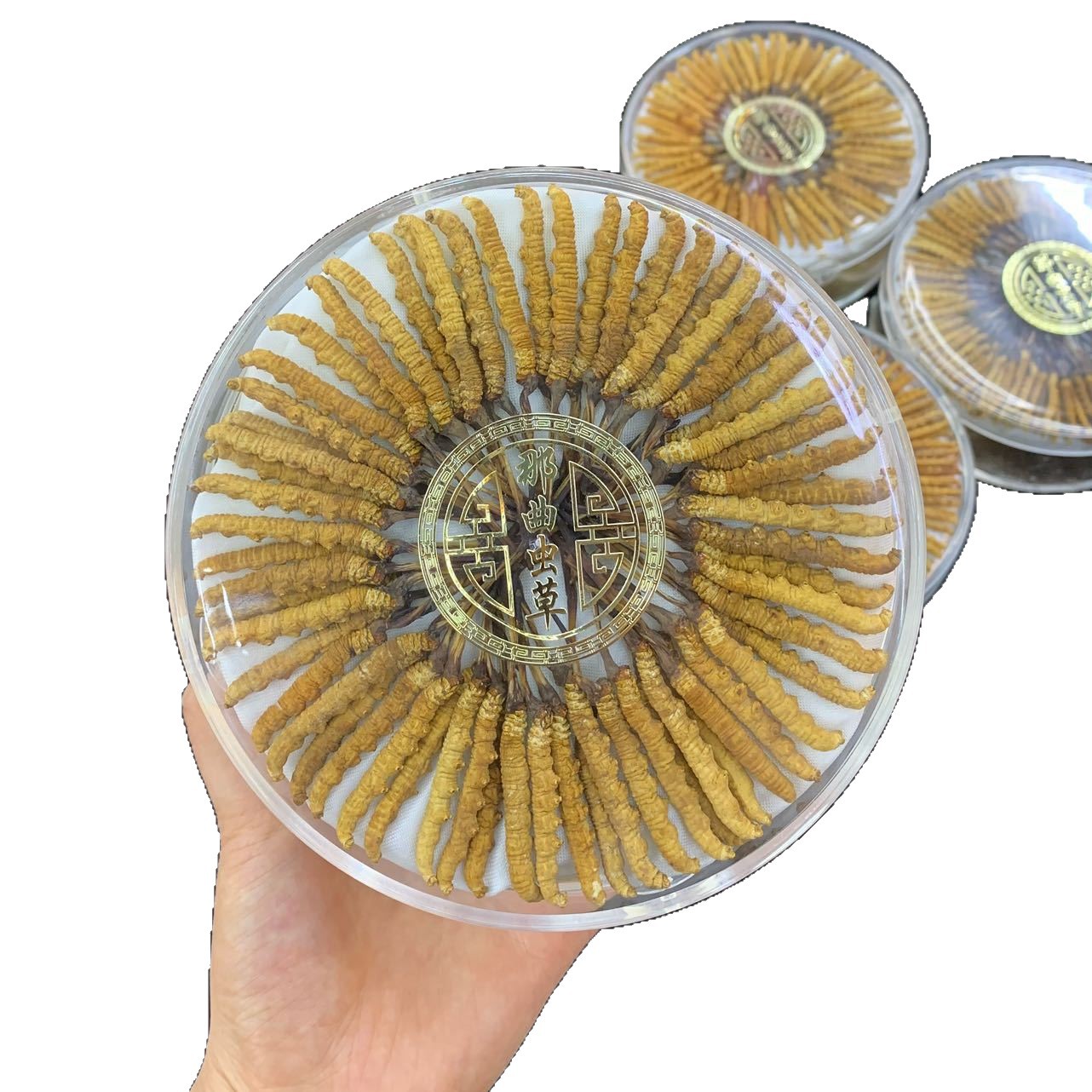 Wholesale Cordyceps Sinensis, Xizang Nagqu Cordyceps, Source Area Early Season Hay, Custom Gift Box