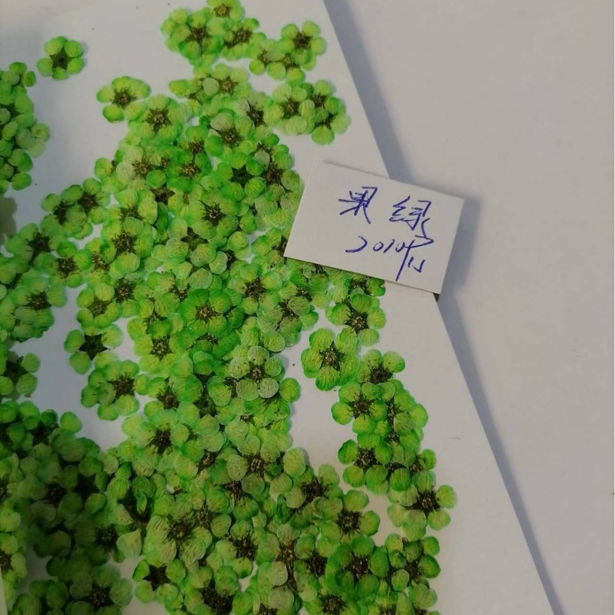 Pearl plum daffodils small plum blossom five-star flower five-petal flower nail art dried flower cross-border glue mobile phone shell beaded flower