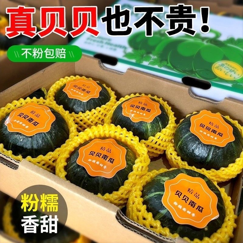 Authentic Beibei Pumpkin Chestnut Flavor Old Pumpkin Powder Glutinous Sweet Baby Food Supplement Wholesale for Pregnant Women