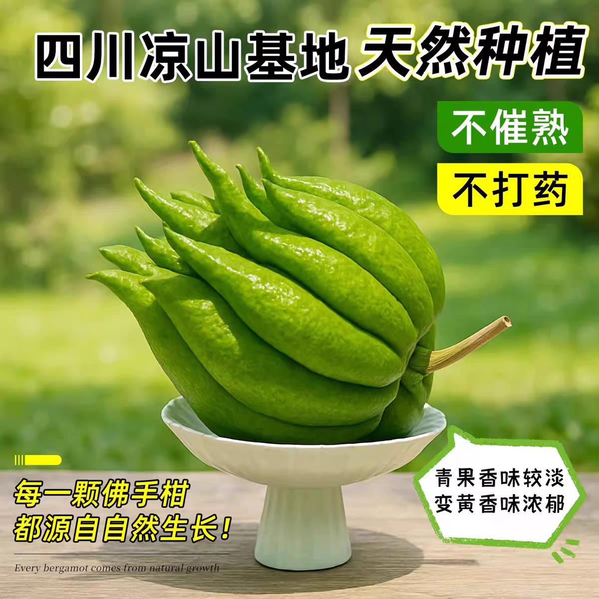 Bergamot Fresh Fruit Ornamental Edible Fresh Fruit with Branches Dried Fragrant Bergamot Hydroponic Green Plant Ornaments Flower Potted Plants