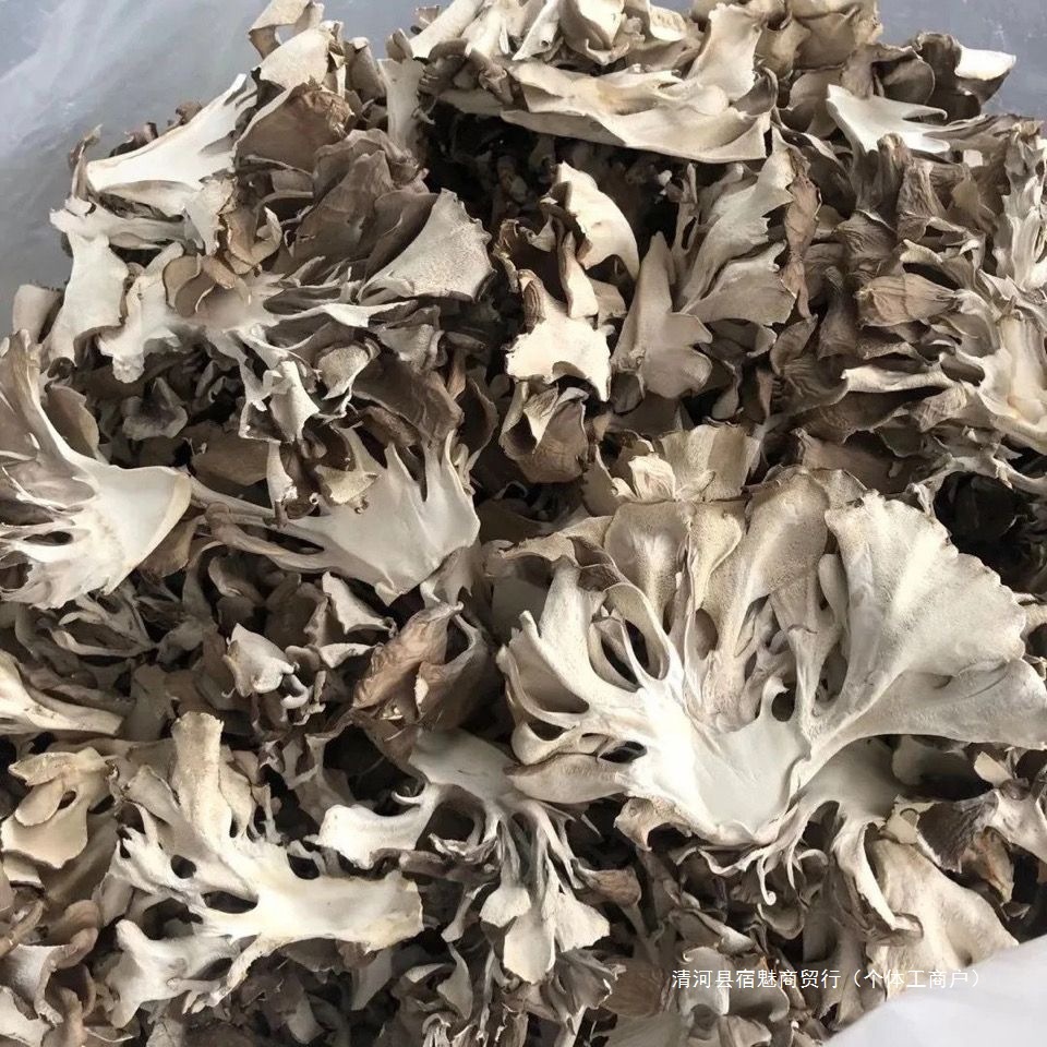 Сушеные грибы майтаке, съедобные грибы, экологически чистый зеленый чай майтаке, фермерские каштановые грибы, слайсы 100г