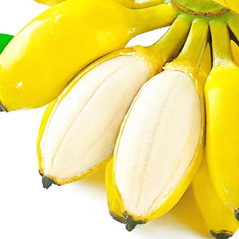 Guangxi Apple Banana Fresh Banana Seasonal Fresh Fruit Fragrant Banana Freshly Picked Banana Drop Shipping