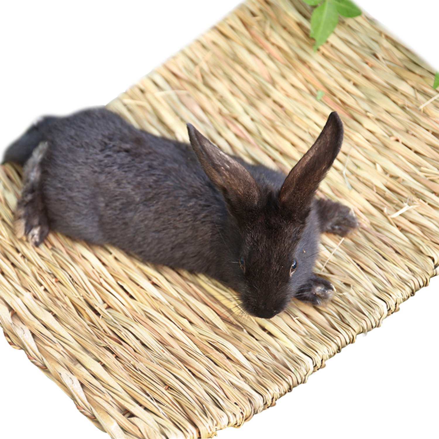 Популярный мат для морских свинок из натурального тростника без пестицидов