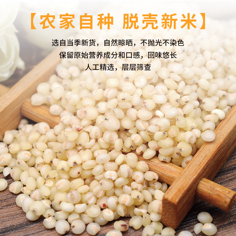 Sorghum Rice Grain New Rice Sorghum Kernel Coarse Grain Porridge Wine Ciba Northeast Sorghum Rice in stock Wholesale
