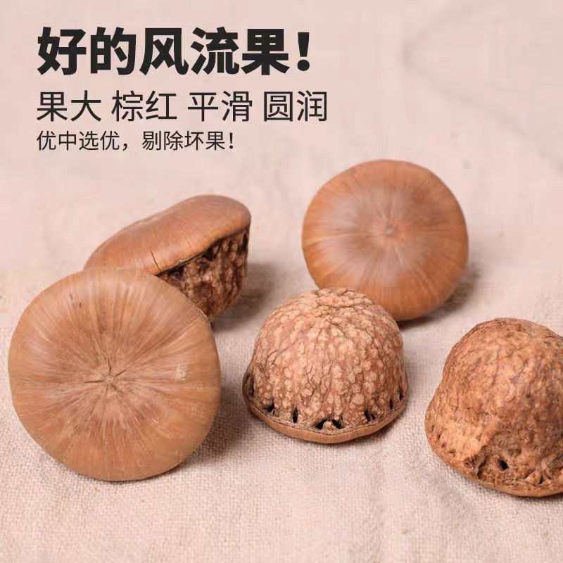 Authentic Guangxi Wild Windflower Fruit Stone Fruit New Arrival 500g Golden Sakura and Dendrobium Windflower Fruit Combination for Brewing Wine