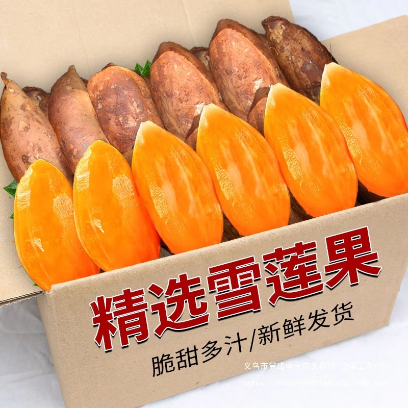 Свежий корень снежного лотоса Тяньшань, сезонный свежий фрукт из Юннани, подходит для беременных, специальность с желтым сердцем, целая коробка