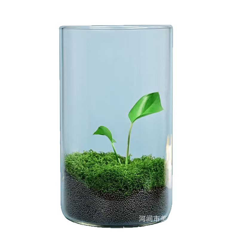 Glass Jar Landscape Desktop Office Creative Landscaping Ornaments Vase Moss Indoor Plant Hydroponic Vase Fish Tank Bottle