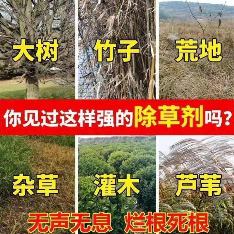 Strong root rot particles root eradication powder to remove trees, miscellaneous bamboo weeds, miscellaneous wood, high concentration shrubs root rot does not turn green for land reclamation