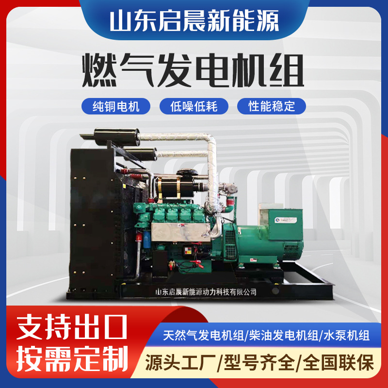 Генератор на природном газе 250 кВт, газогенераторная установка 400В, генератор биогаза на природном газе