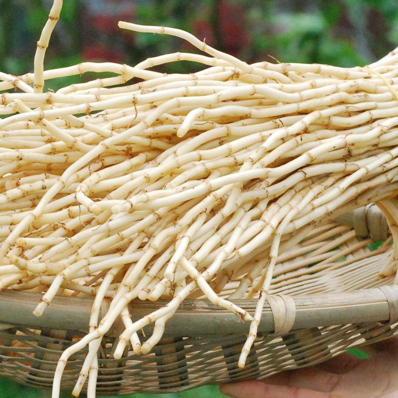 Свежие овощи с рыбным ароматом, фермерские молодые корни, холодные корни, свежевыкопанные корни со вкусом рыбы, оптом от независимого поставщика