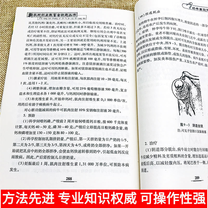 Genuine cow breeding new technology cow breeding technology Book Complete Cow disease book disease