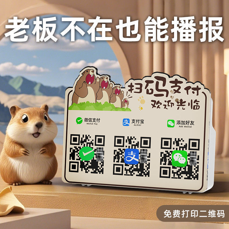 Voice Broadcast Qr Code Announcer Bluetooth Speaker Payment Reminder Payment Audio Alipay Brand Payment
