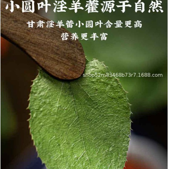 Epimedium Leaf 50g Whole-Leaf Sheep Combined Leaf Foreign Fire Leaf Medicinal Materials Gansu Men's Tea Men's Wine Health Tea
