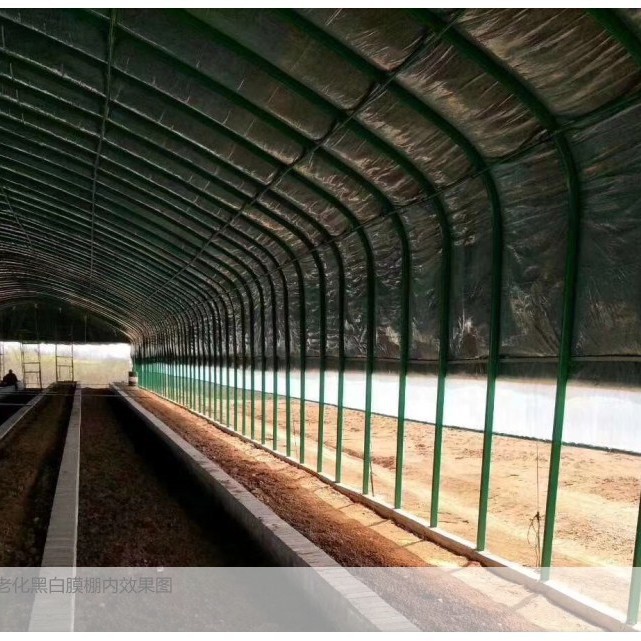 New Greenhouse Film Thickened Black and White Green Film Culture Film Waterproof Cooling Heat Insulation Shading Silage Film Edible