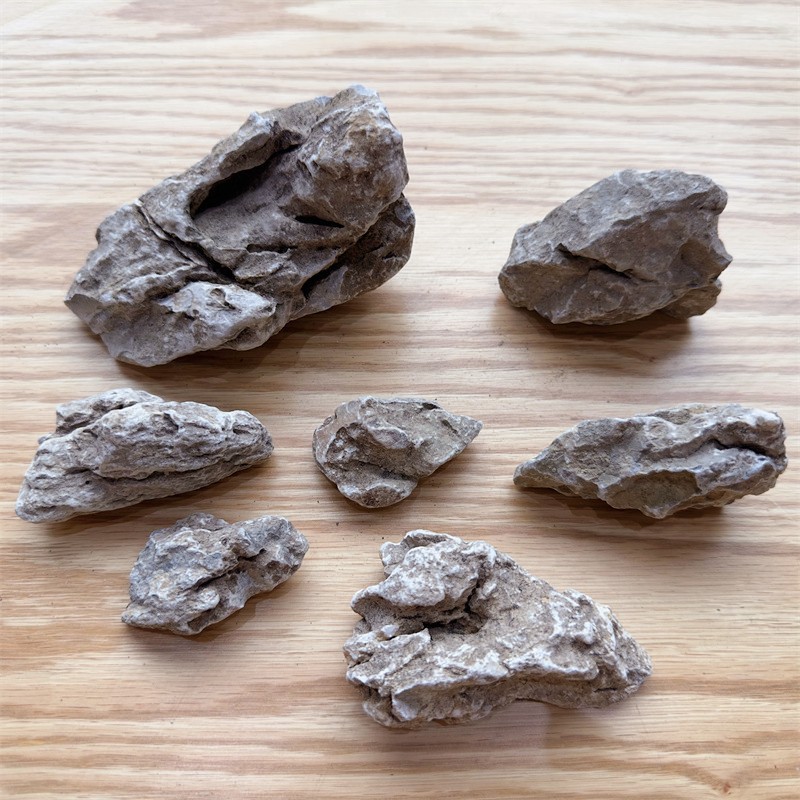 Микроландшафт, суккуленты, украшения для сада, камни для рокария, английские камни, камни дракона, ландшафтные камни