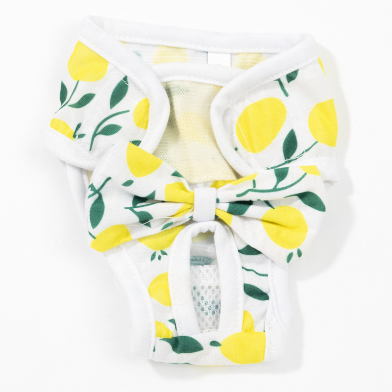 Pet dog physiological pants Teddy safety sanitary pants menstrual pants bitch physiological period supplies underwear aunt pants