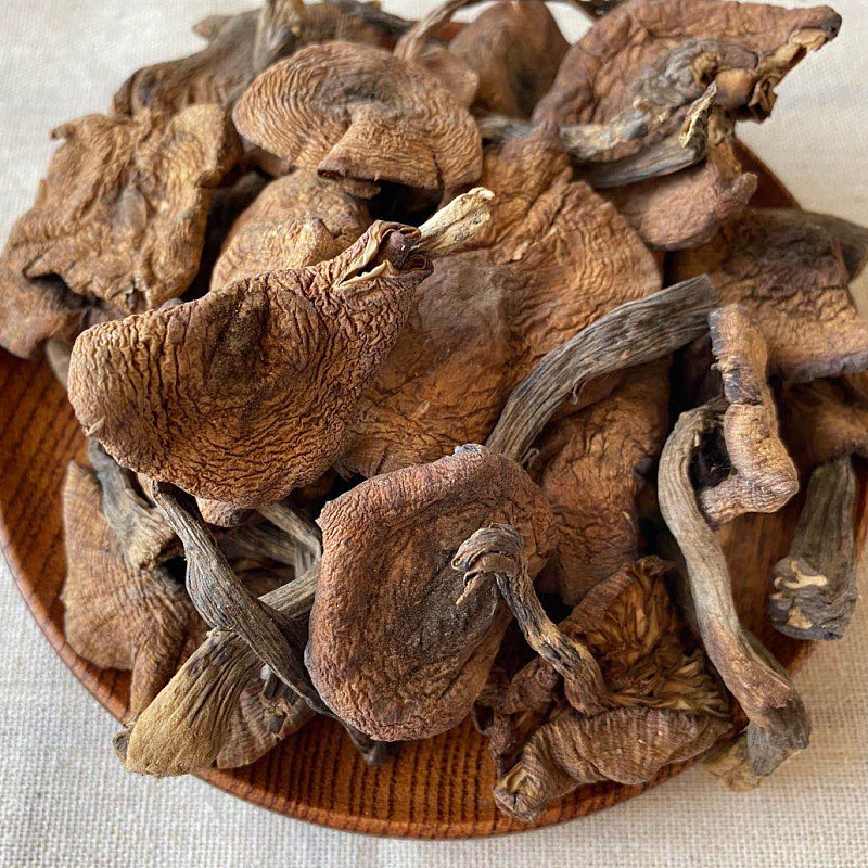 Northeast Wild Hazelnut Mushrooms, Dried Goods, Chicken Stewed Mushrooms, Daxinganling Wild Mushrooms, Wholesale Dried Goods, Hazelnut Mushrooms