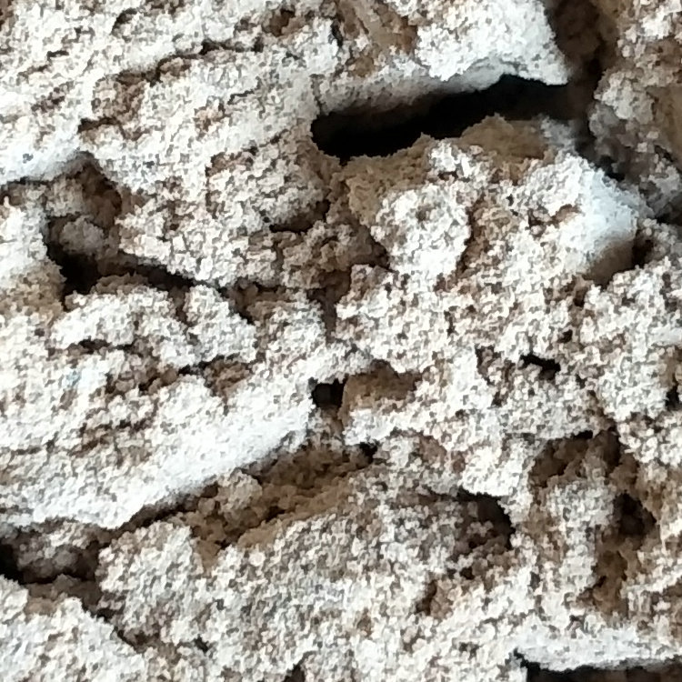 In stock supply wild pine mushroom powder Yunnan wild mushroom powder seasoning Shangri-La wild pine mushroom powder