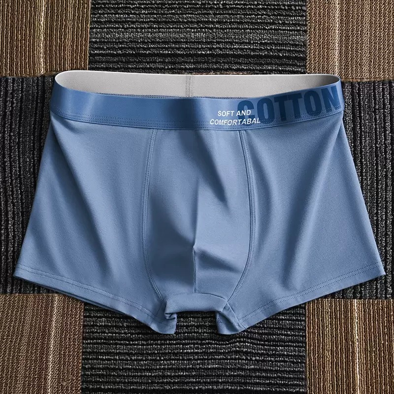 Men's Underwear New Style Pure Cotton Large Size Loose Boxer Briefs Comfortable Breathable Youth Boxer Briefs Wholesale