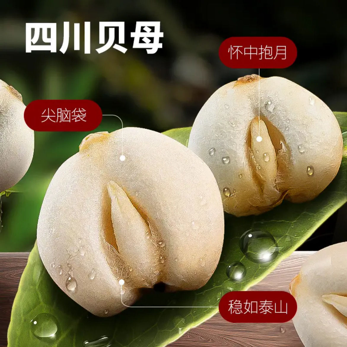 Authentic Sichuan Chuanbei Ama Sulfur-Free Chuanbei Mother Genuine First-Class Chuanbei Granules Chuanbei Powder Pure Powder Dry Goods Stewed Snow Pear