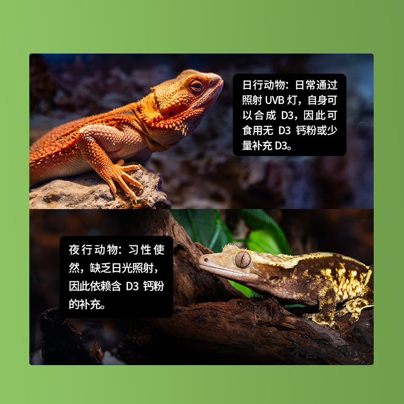 Reptizoo Climbing Pet Calcium Powder D3 Reptile Supplement Vitamin Turtle Mane Lion Lizard Leopard Shouchou Electrolyte