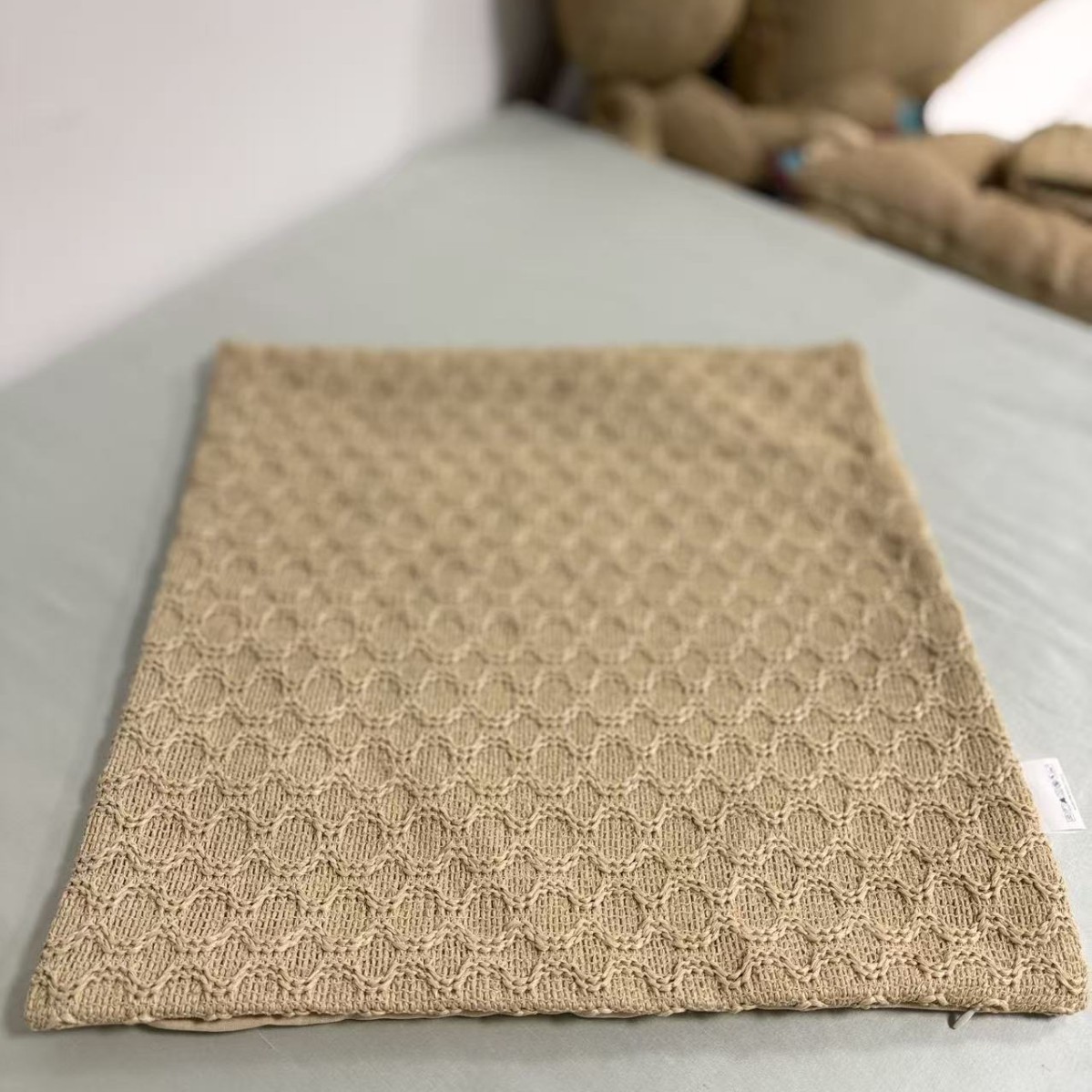 Outdoor Sunscreen Abrasion Resistant Straw Fabric Throw Pillow Cover Throw Pillow