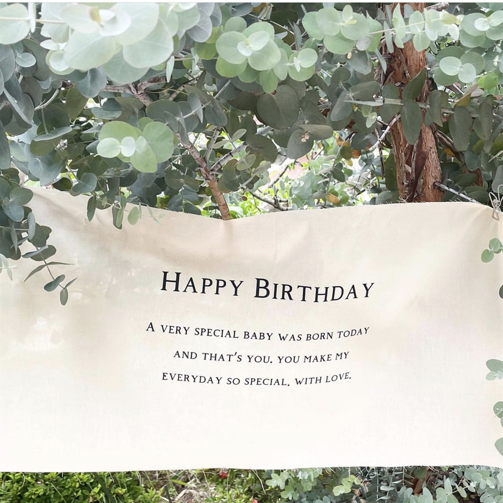 ins birthday one hundred days anniversary photo props ins style happy birthday shooting background cloth