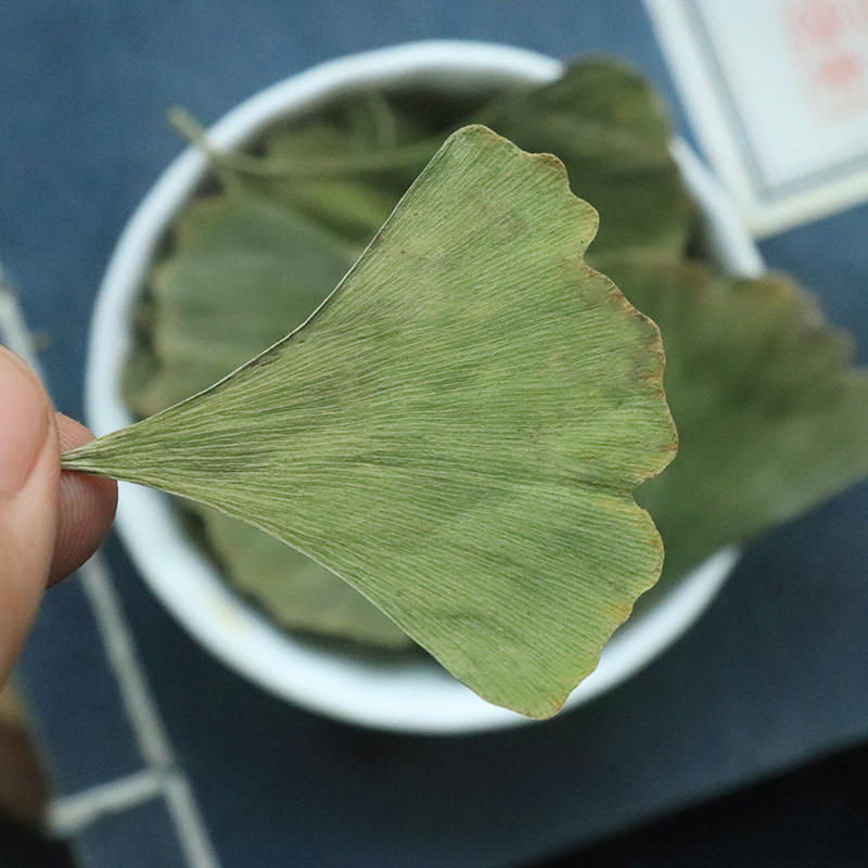 Naturally Sun-Dried Ginkgo Leaves 500g Dry Goods Tender Fresh Ginkgo Leaves Middle-Aged and Elderly Agricultural Products Non-Chinese Medicinal Materials