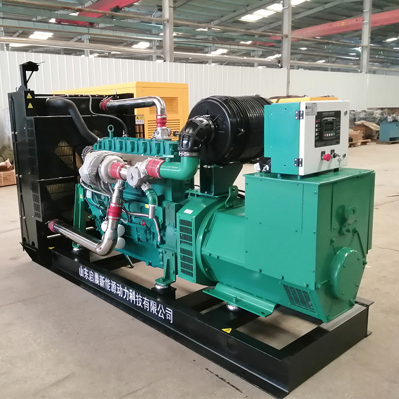 Natural Gas Generator 250Kw Gas Generator Set 400V Breeding Biogas Natural Gas Generator