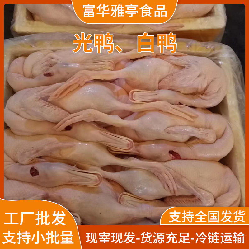 Свежезабитая Утка с Белыми Полосками, Тушеное Мясо, Запеченная Утка, Ресторанные Ингредиенты Поставка Утки, Утка на Свободном Выгуле, Легкая Утка