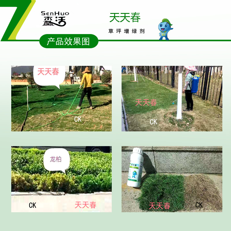 Daily Spring Lawn Green Enhancer Quick Coloring Dye Dormant Dead Grass Project Acceptance Instant Environmental Protection One Spray Green