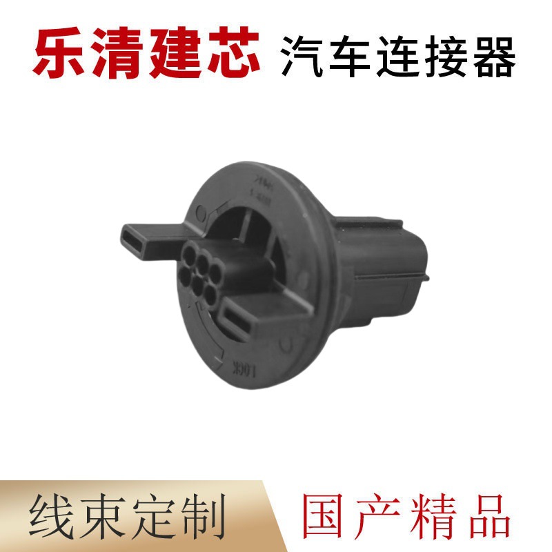 Domestic Dj7065Yc-0.6-11/21 Automotive Wiring Harness Connector Plug Connector 7289-9553-30