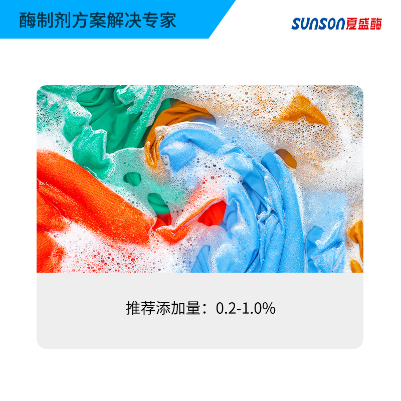 Xia Sheng Alkaline Protease 20Gl 200,000 U/Ml Industrial Grade Liquid Detergent Enzyme Preparation for Removing Protein Stains