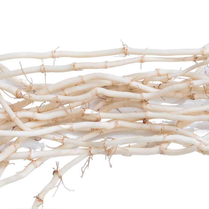 Fresh Vegetables with Fishy Aroma, Farm-Grown Young Roots, Cold-Dish Roots, Freshly Dug Fish-Flavored Roots, Wholesale from Independent Station