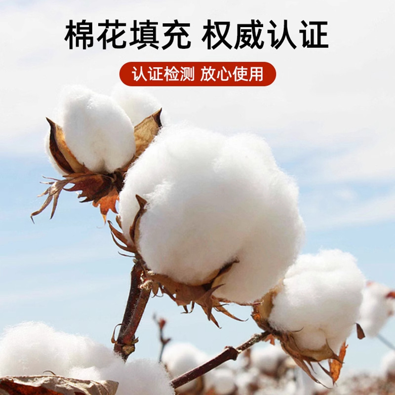 Xinjiang Cotton Mattress Rental Bed Mattress Cotton Batting Quilt Pad Bedding Pad Single Student Dormitory Soft Cushion Bedding