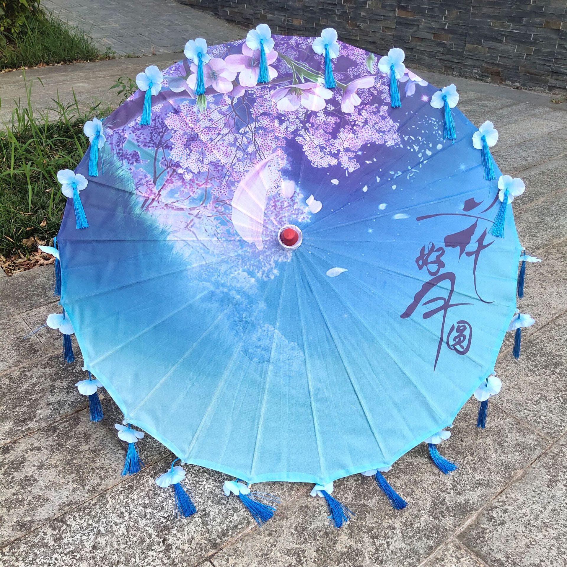 Antique Hanfu Tassel Umbrella Performance Umbrella Petal Umbrella Photo Propel Umbrella Dance Silk Umbrella Craft Ancient Point Oil Paper Umbrella