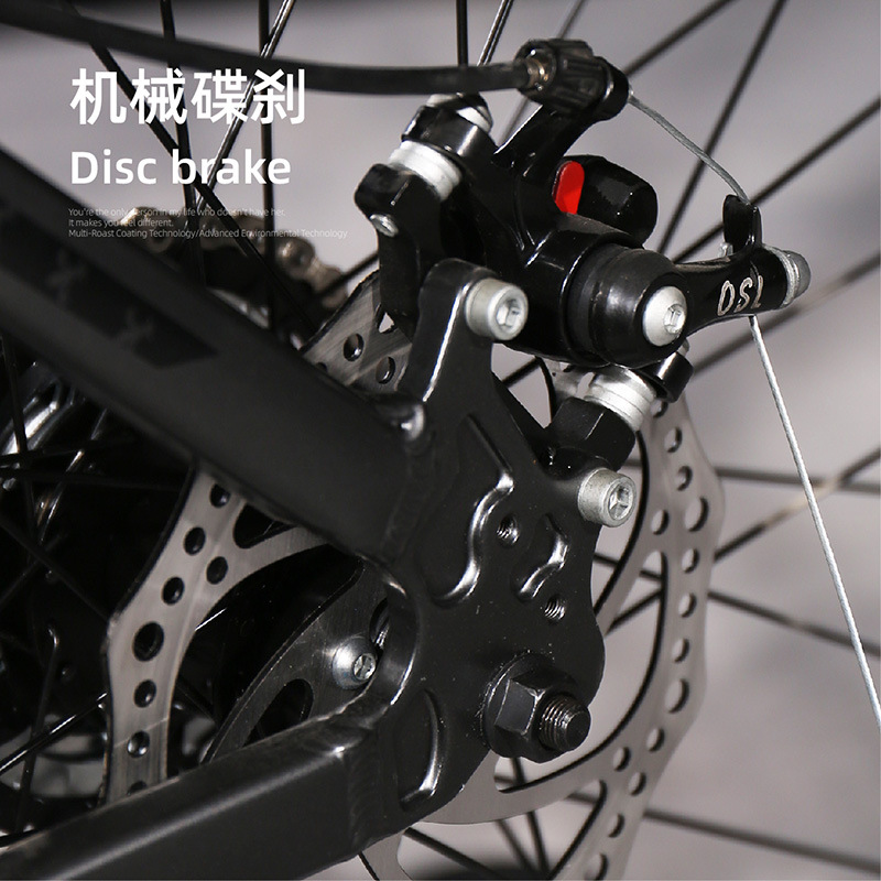 Flying Pigeon Brand Mountain Bike Men's Variable Speed Off-Road Bike Teenagers Middle School Students Ladies Road Racing Adult