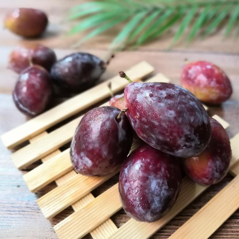 In-Stock Xinjiang Prunes Large Fruit 2.5kg Sweet Plums Fresh Fruit for Pregnant Women French Seasonal Sf Free Shipping