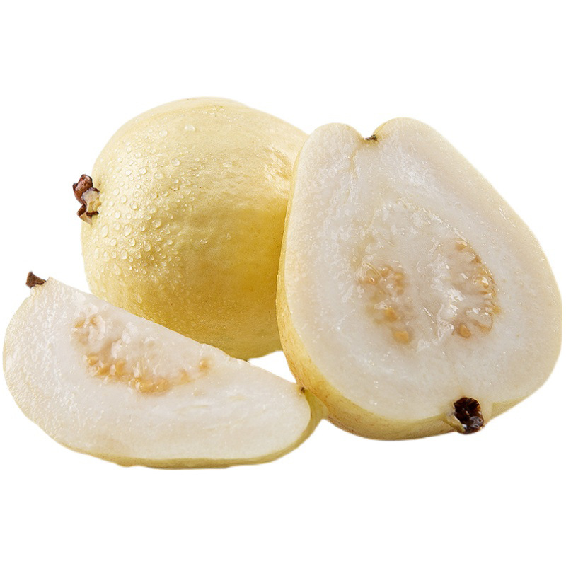 Directly Shipped from Fujian, Creamy Guava with Soft Centers, Freshly Picked, Soft and Sweet White-Fleshed Guava, Fresh Wholesale