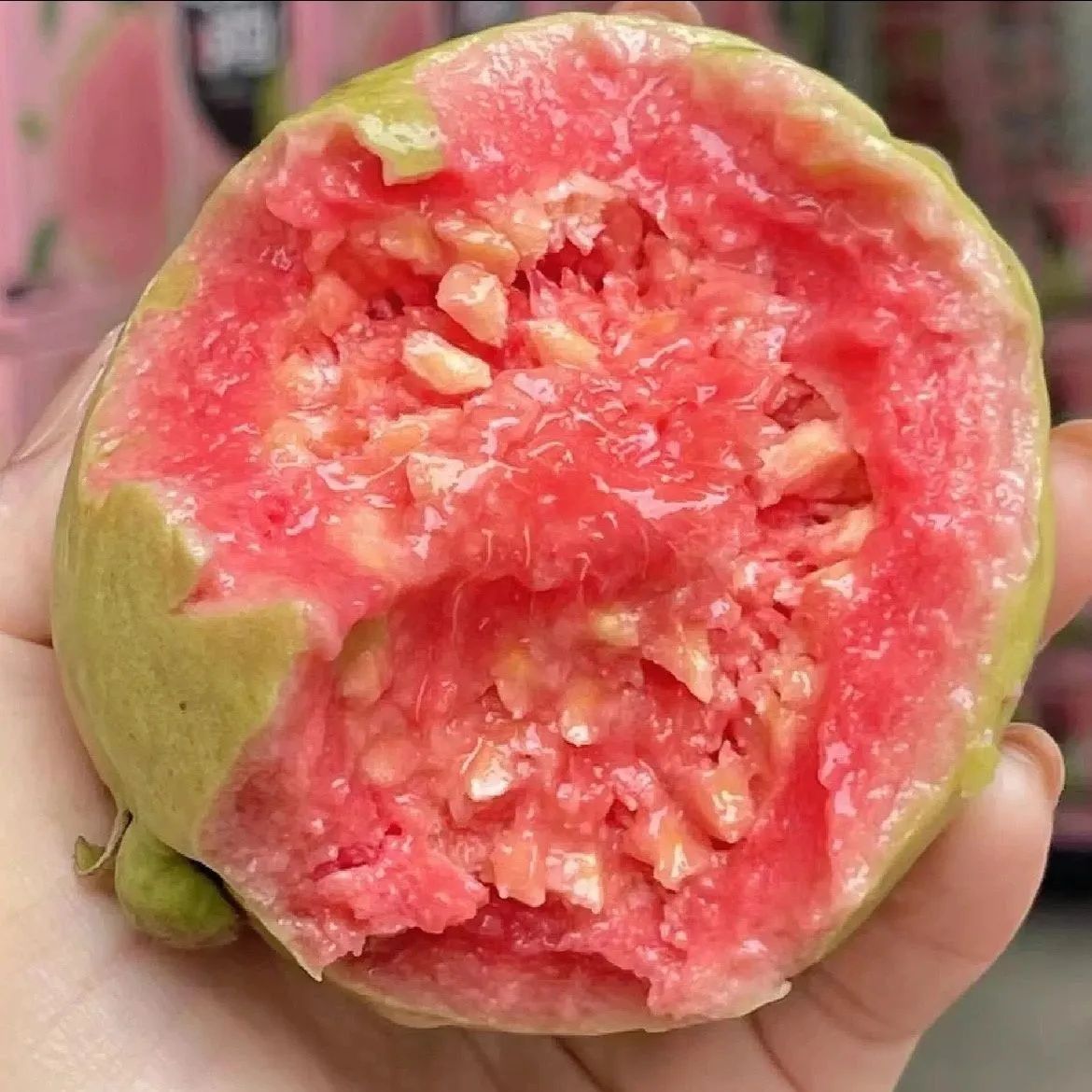 Fujian Guangdong Red Heart Guava Red Heart Guava Seasonal Fresh Fruit Red Heart Guava Dropshipping