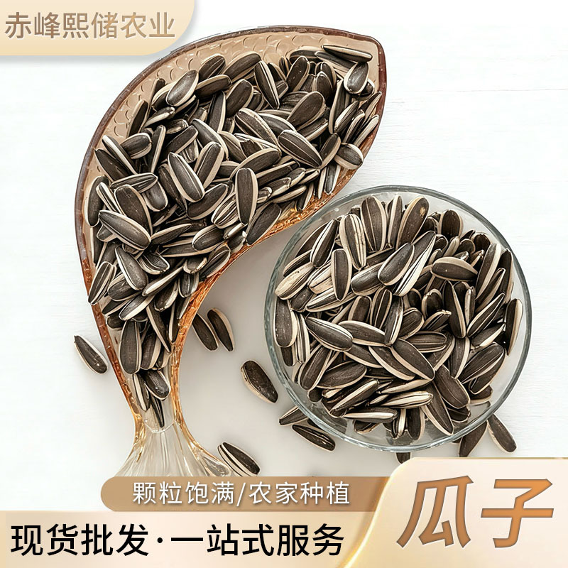 Large Sunflower Seeds New Stock Inner Mongolia Sunflower Seeds Bulk Raw Sunflower Seeds Original Origin Wholesale Original Flavor Sunflower Seeds