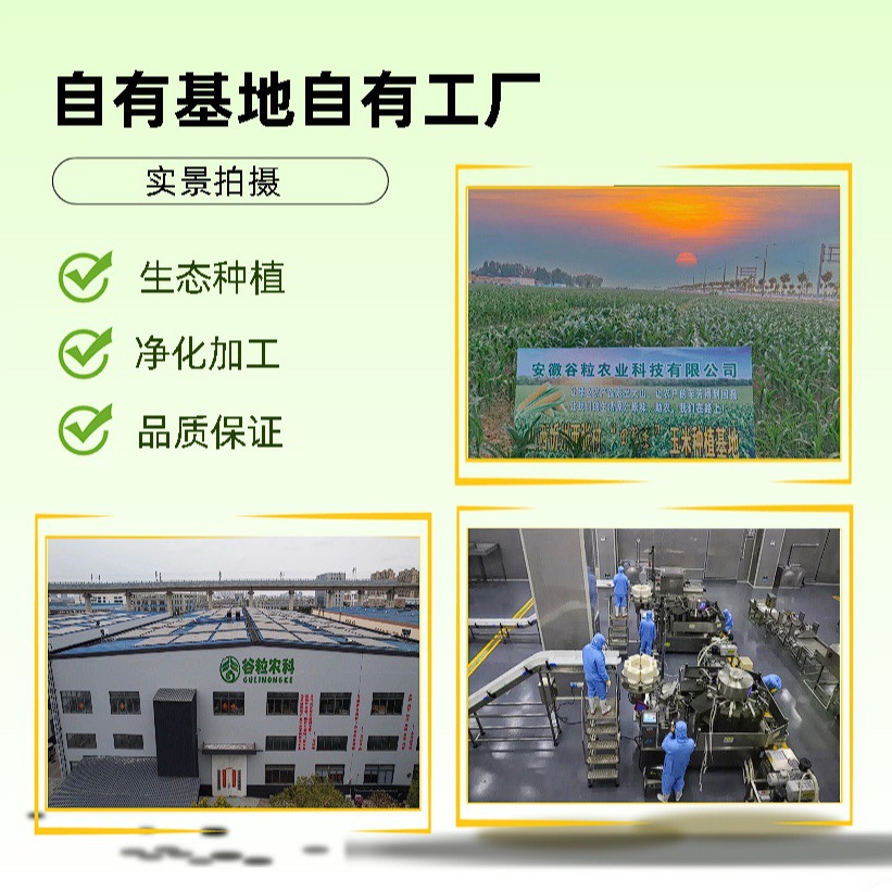 Yellow Corn, Black Corn, Organic Corn, Fruit Corn, Northeastern Waxy Corn, Fresh Corn, Sweet Corn, Ready-To-Eat Corn