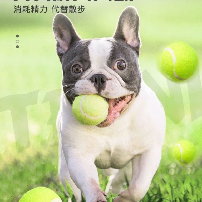 Dog Toys Stretch Tennis Small and Medium Dogs Bite Resistant Toys Rubber Training Ball Pet Supplies