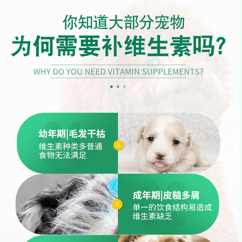 Daoliqi Pet Multivitamin Tablets 180 Tablets Dog Vitamin Tablets Cat Supplement Vitamin Health Products