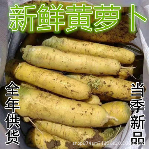 Fresh Yellow Radish and Yellow Carrot Hand-Grabbed Rice from Yuncheng, Shanxi, Xinjiang Flavor, Farm Style, Free Shipping 25kg