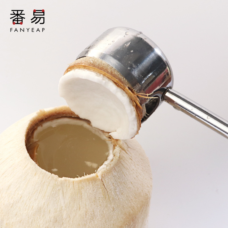 Free Shipping/Coconut Opener A1V - Old Coconut Opener, Coconut Knife, Lid Opener